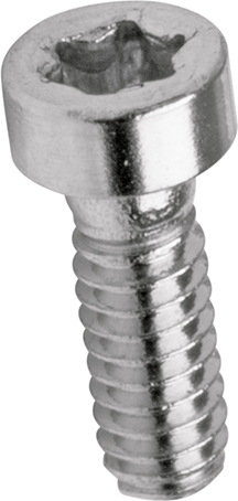 Torx Screws